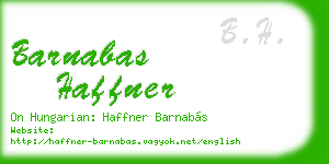 barnabas haffner business card